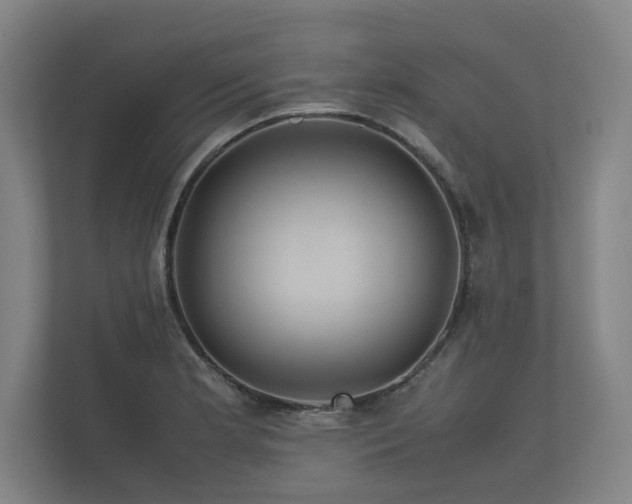 X0000112371181200908201456