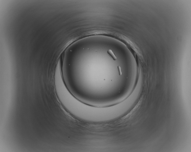 X0000112371185200908201456