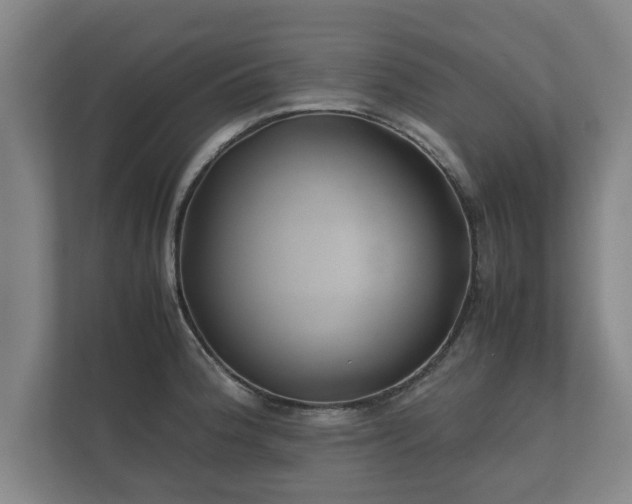 X0000112371188200908201456