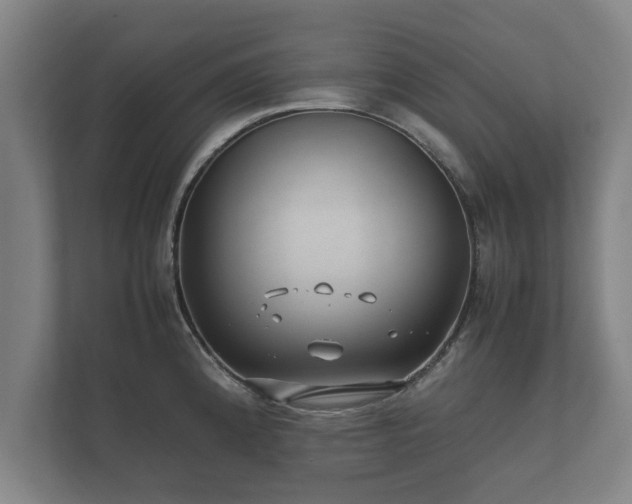 X0000112371192200908201456