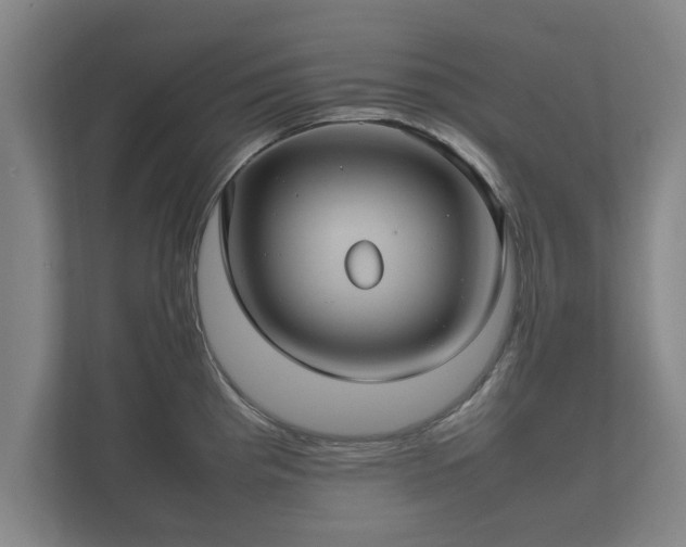 X0000112371193200908201456