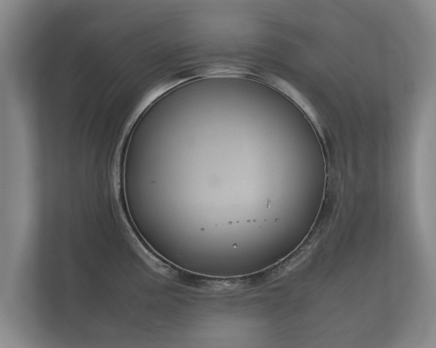 X0000112371195200908201456