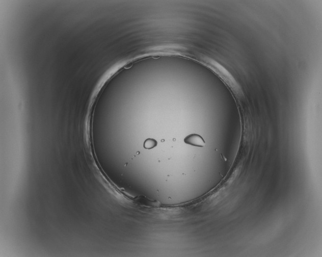 X0000112371196200908201456