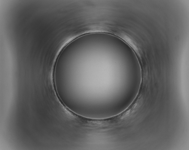 X0000112371197200908201456