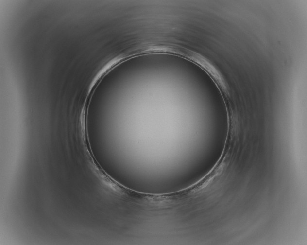 X0000112371198200908201456