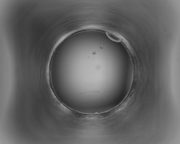 X0000112371199200908201456