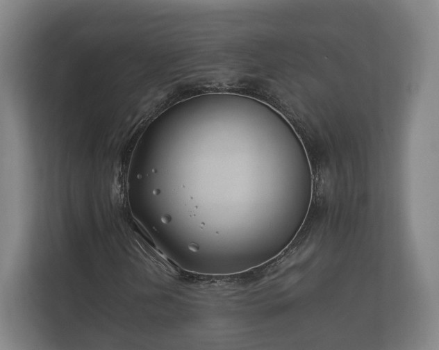 X0000112371202200908201455