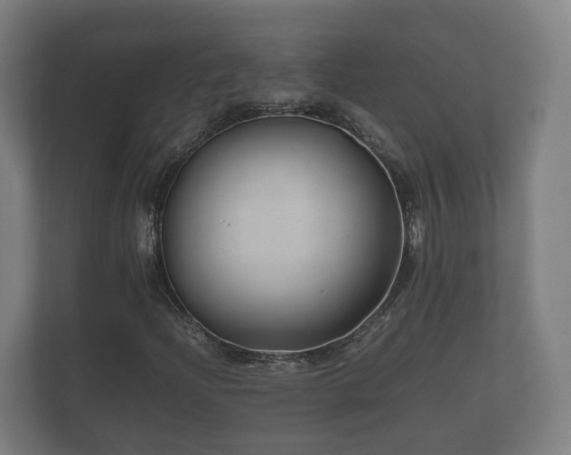 X0000112371204200908201455