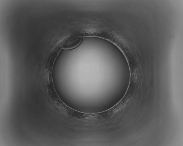 X0000112371205200908201455