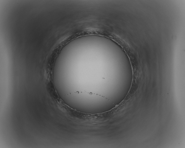 X0000112371207200908201455