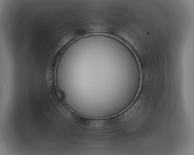 X0000112371211200908201455