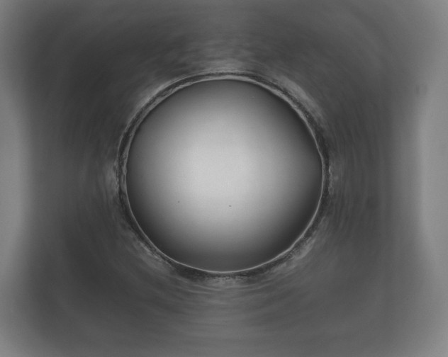 X0000112371212200908201455