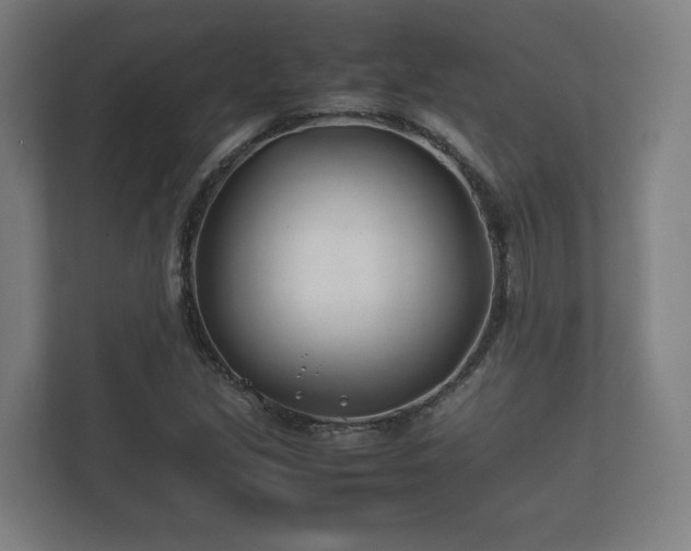 X0000112371213200908201455