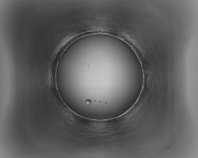 X0000112371215200908201455