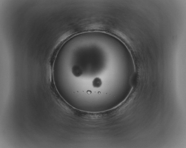 X0000112371219200908201455