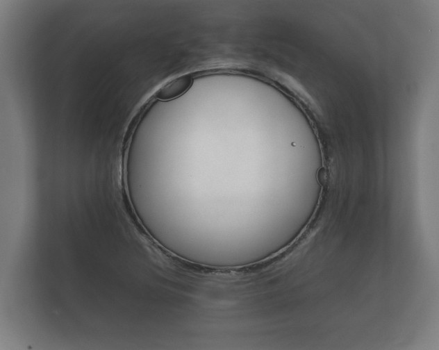 X0000112371220200908201455