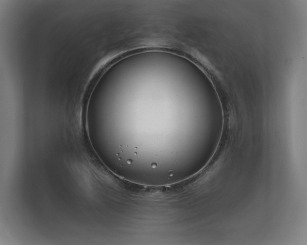 X0000112371222200908201455