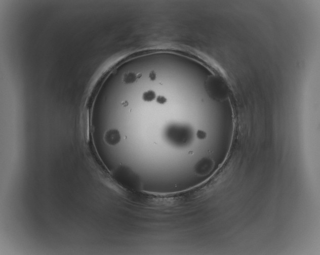 X0000112371223200908201455