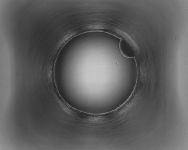 X0000112371225200908201455