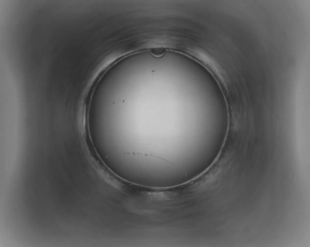 X0000112371227200908201455