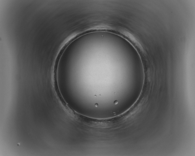 X0000112371229200908201456