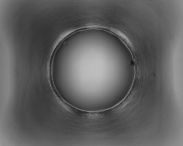 X0000112371231200908201456