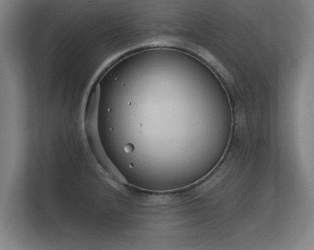 X0000112371232200908201456