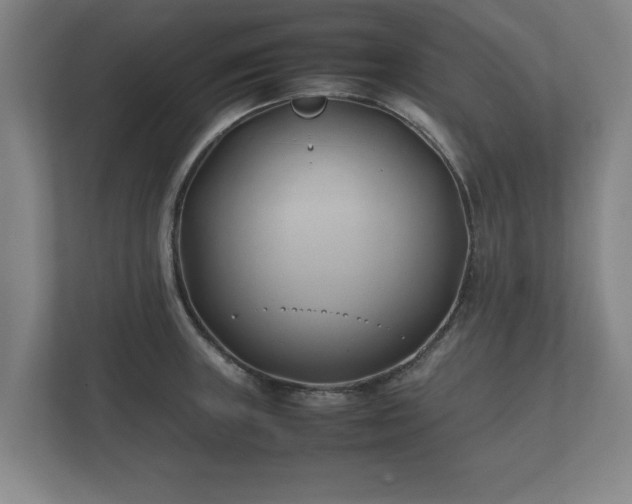 X0000112371235200908201456