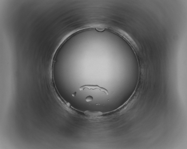 X0000112371236200908201456