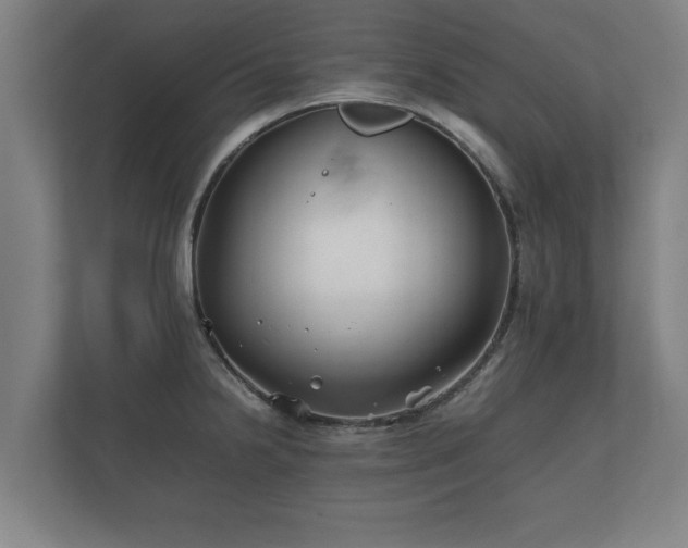 X0000112371238200908201456