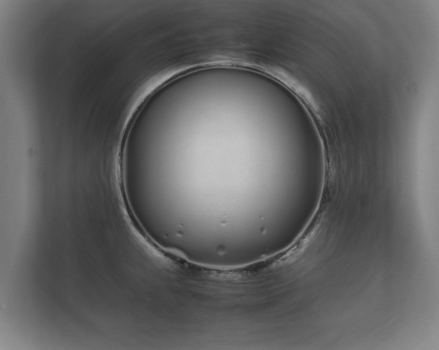 X0000112371239200908201456