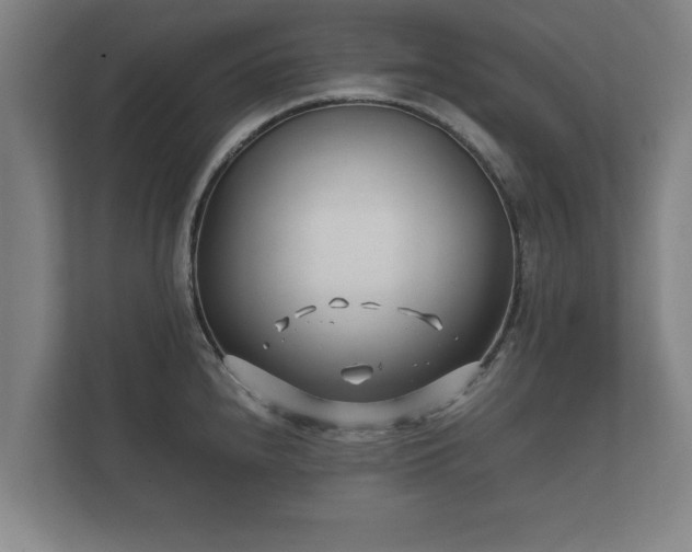 X0000112371240200908201456