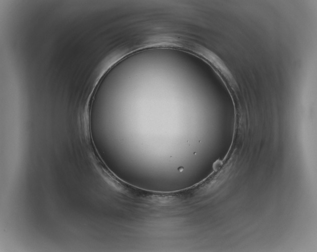 X0000112371242200908201456