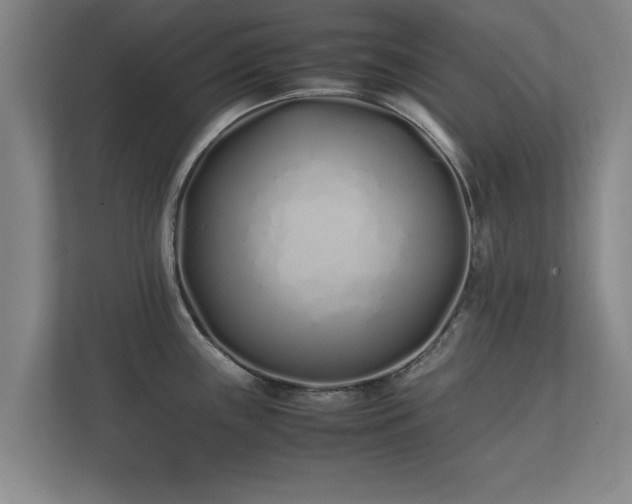 X0000112371243200908201456