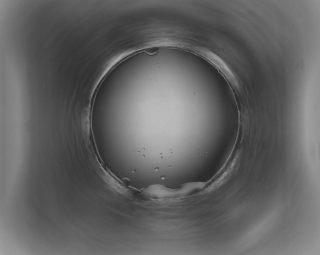 X0000112371244200908201456