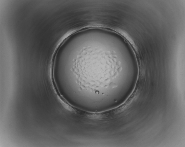 X0000112371245200908201456