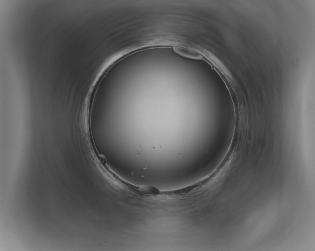 X0000112371246200908201456