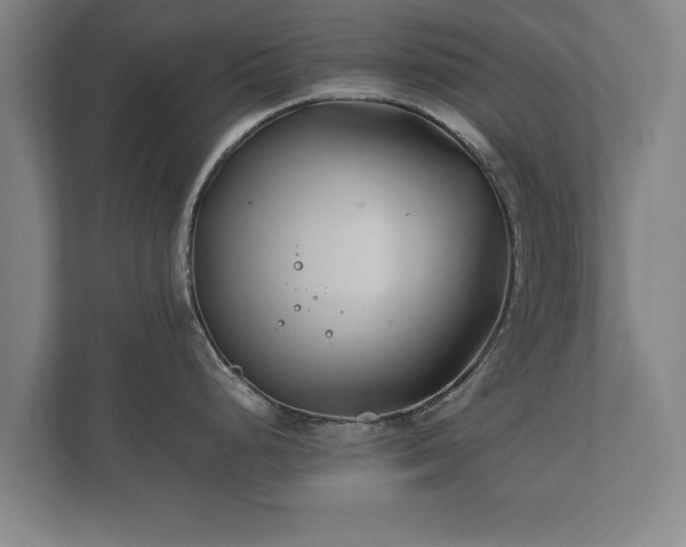 X0000112371248200908201456