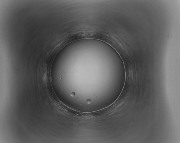 X0000112371250200908201455