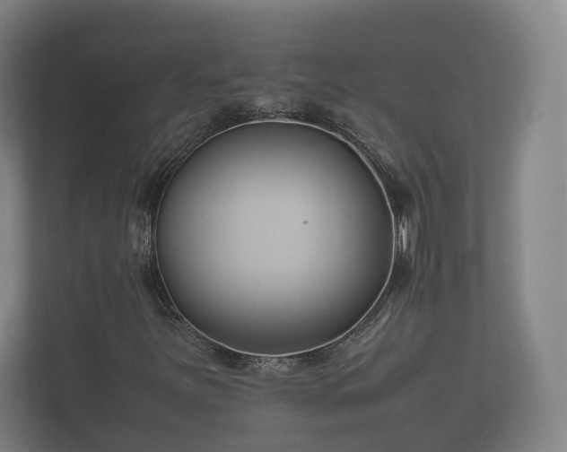 X0000112371251200908201455