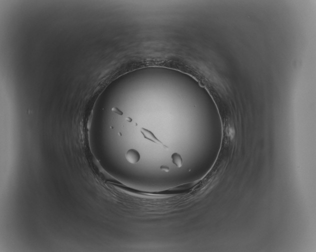 X0000112371252200908201455