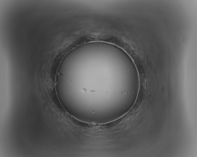 X0000112371253200908201455