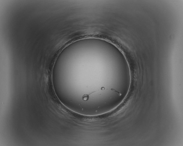 X0000112371257200908201455