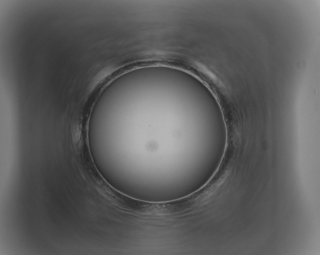 X0000112371259200908201455