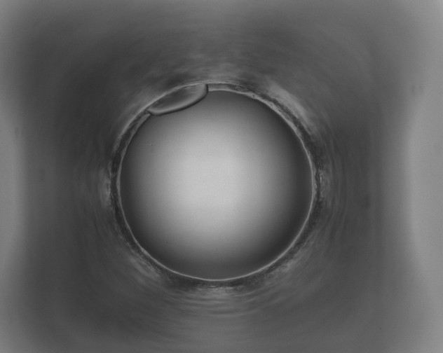 X0000112371260200908201455