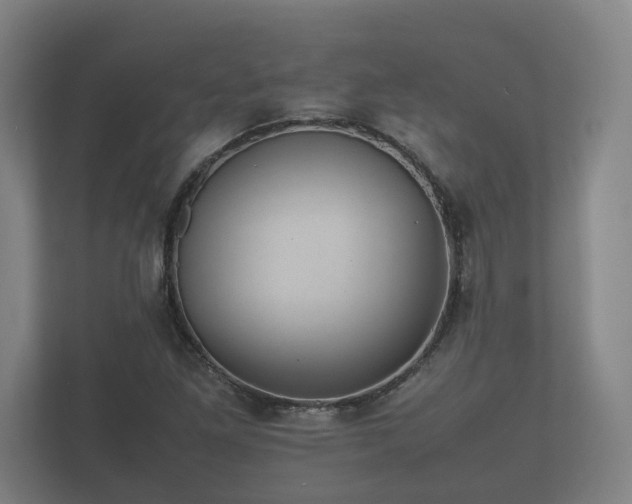 X0000112371261200908201455