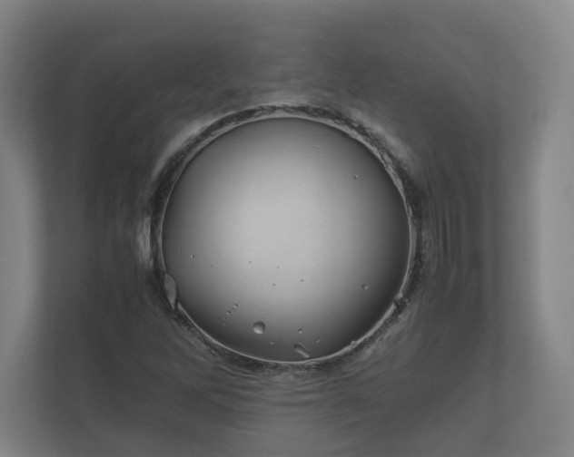 X0000112371262200908201455