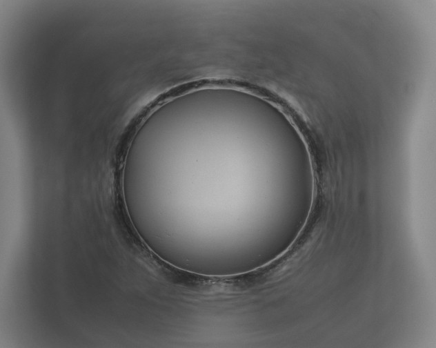 X0000112371263200908201455