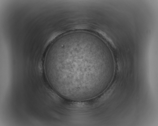 X0000112371266200908201455