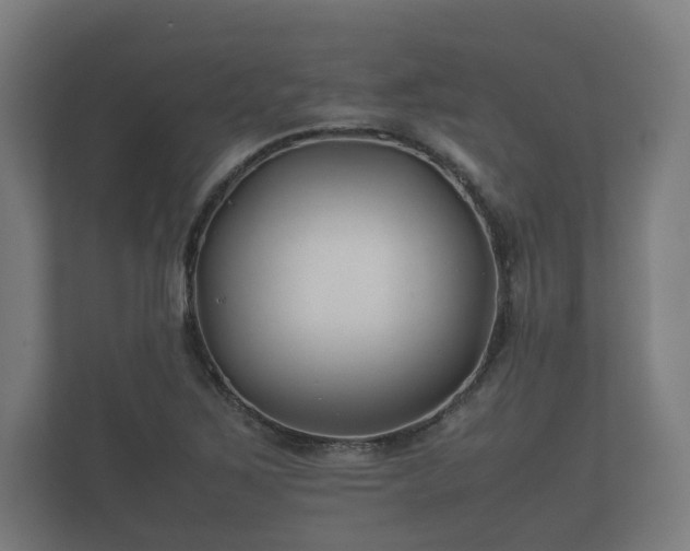 X0000112371267200908201455